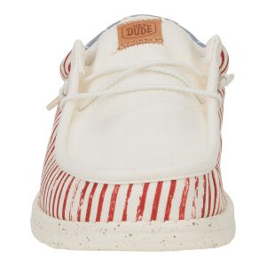 wally funk americana stars american flag